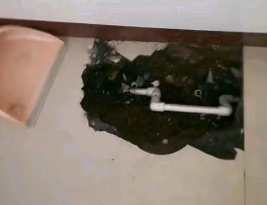 阿城卫生间测漏水多少钱